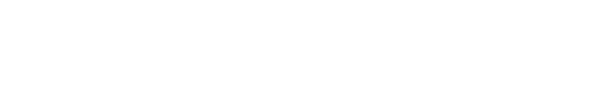 TANIDA TRANSPORTER